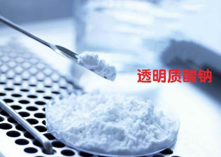 玻尿酸粉末